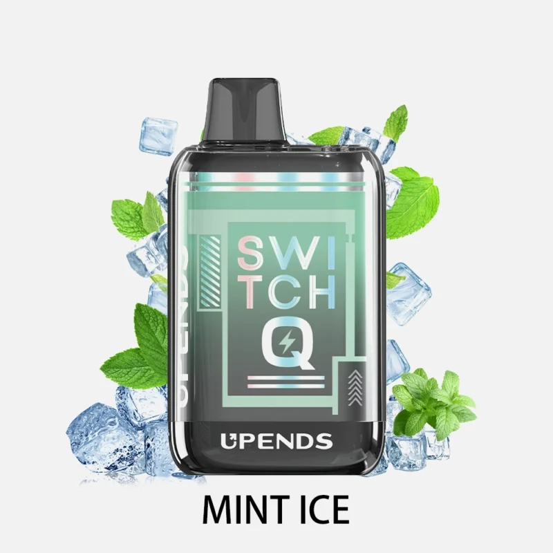 SWITCHQ-MINT-ICE