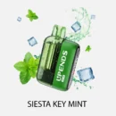 UP10-Siesta Key Mint